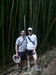 Pipiai Trail - Bamboo Forest

